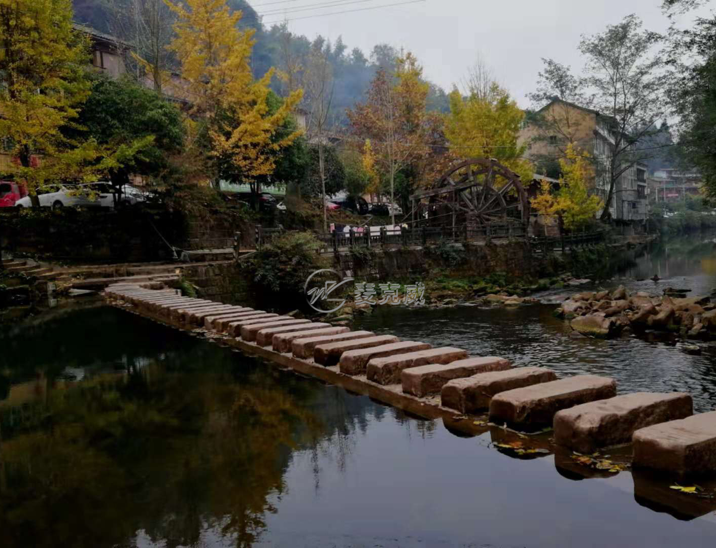 2018秋游古鎮(zhèn)銀杏